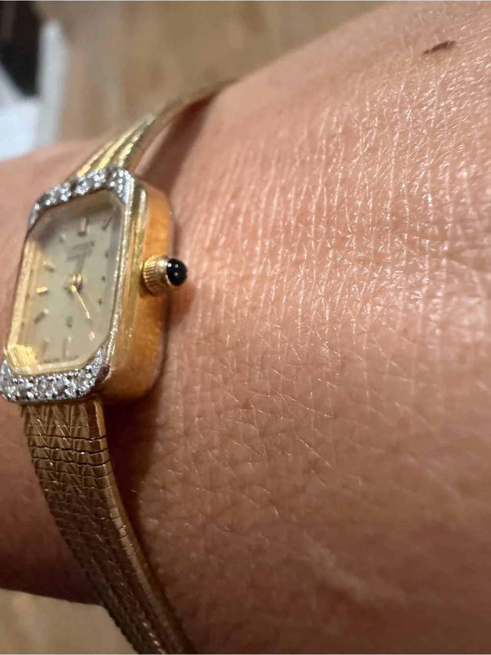 Citizen elegant women
